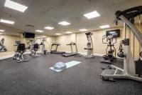 Monte Carlo Inn & Suites Downtown Markham
