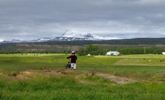 Hjartarstadir Guesthouse