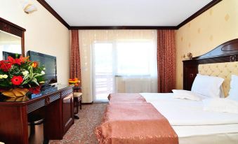 Vila Turistica Carmen Silvae - Housity