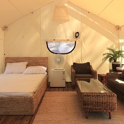 Cavana Room 블랙트리 캠핑장 인천 쿠폰