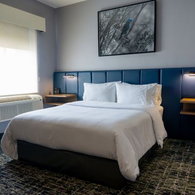 One Bedroom 1 King Suite With Kitchen COSUITES SALTILLO HOTEL Promo Code