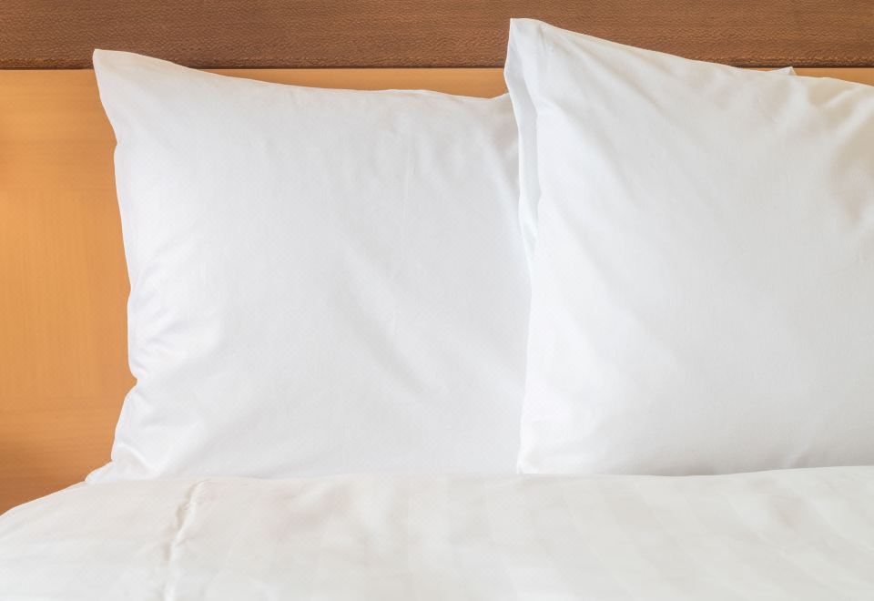 Holiday Inn Express KARLSRUHE - CITY PARK by IHGStandard Room