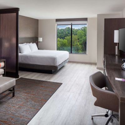 One Bedroom Suite King Bed (Plus Sofa Bed) Hyatt Place Poughkeepsie Promo Code