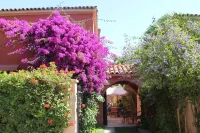 El Arbol Hostel Hotels in 