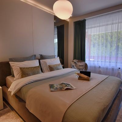 Refurbished Double Room Without Balcony Hotel Sinaia Promo Code