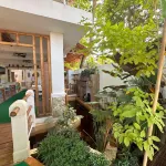 Earl de Princesa Hotel Hotels in 