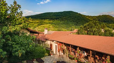 Casa Dives - Varianta Boierească Hotels in 