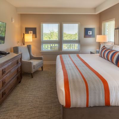 Resort Room Lakeside View with King Bed Lakeside Lodge Clemson Promo Code