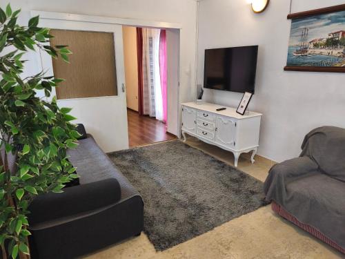 两卧室公寓 - 带露台