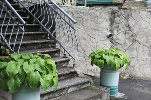 家庭房（带阳台）