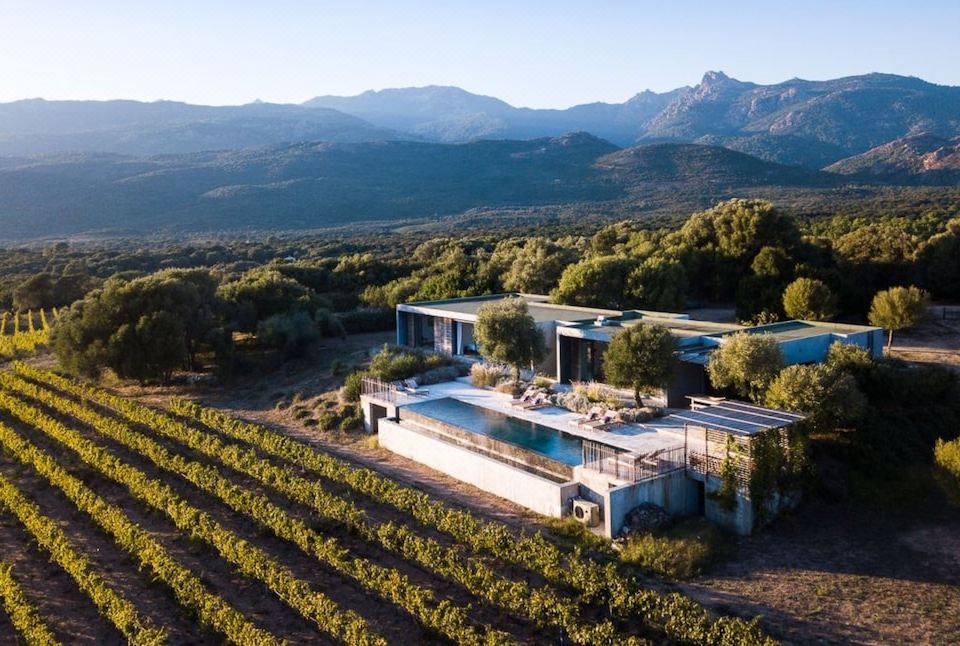 a modern house with a large pool and terrace is surrounded by mountains and vineyards at Domaine de Peretti Della Rocca