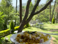 Hotel Agroha