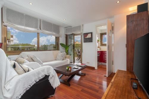 高级一卧室公寓