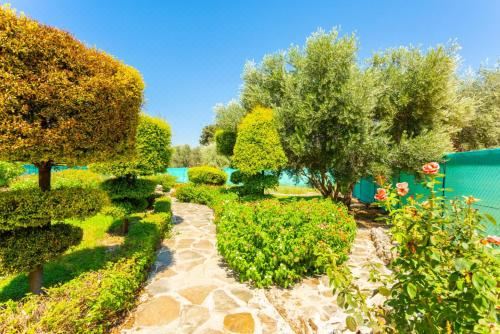 别墅（带独立泳池）