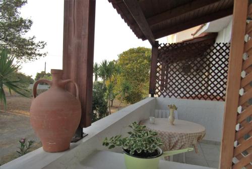 开放式客房， 山景