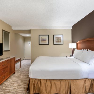 Standard King Room With Mobility Accessible Roll-in Shower Holiday Inn Los Angeles Gateway - Torrance, an IHG Hotel Promo Code