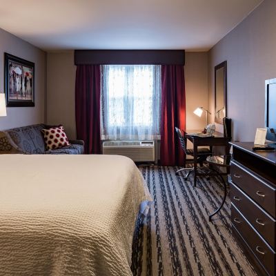 Standard Room, 1 King Bed with Sofa Bed, Non Smoking (Pets Allowed) Colonial Hotel Promo Code