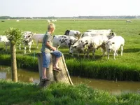 Comfortable and cozy cottage on farm Hotels in Beemster