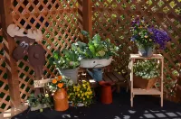 Alaska's Lake Lucille Bed & Breakfast Hoteles en 