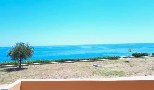 家庭一卧室公寓