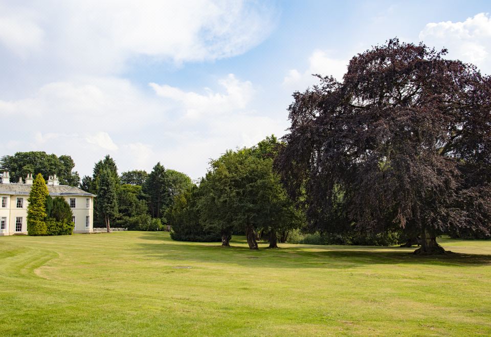 a large grassy field surrounded by trees , with a white house in the background and a tree growing nearby at Eastwood Hall
