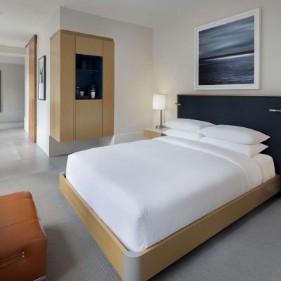 Deluxe Queen Room Hyatt Centric the Loop Chicago Promo Code