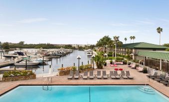 a marina with a large pool surrounded by lounge chairs and palm trees , providing a relaxing atmosphere at Ramada by Wyndham Sarasota Waterfront