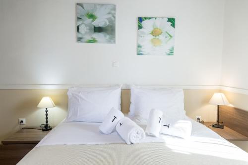 带私人泳池的别墅-阿格诺