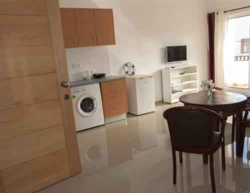 一卧室公寓（带阳台）