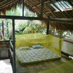 Dream-Big Eco Hostel