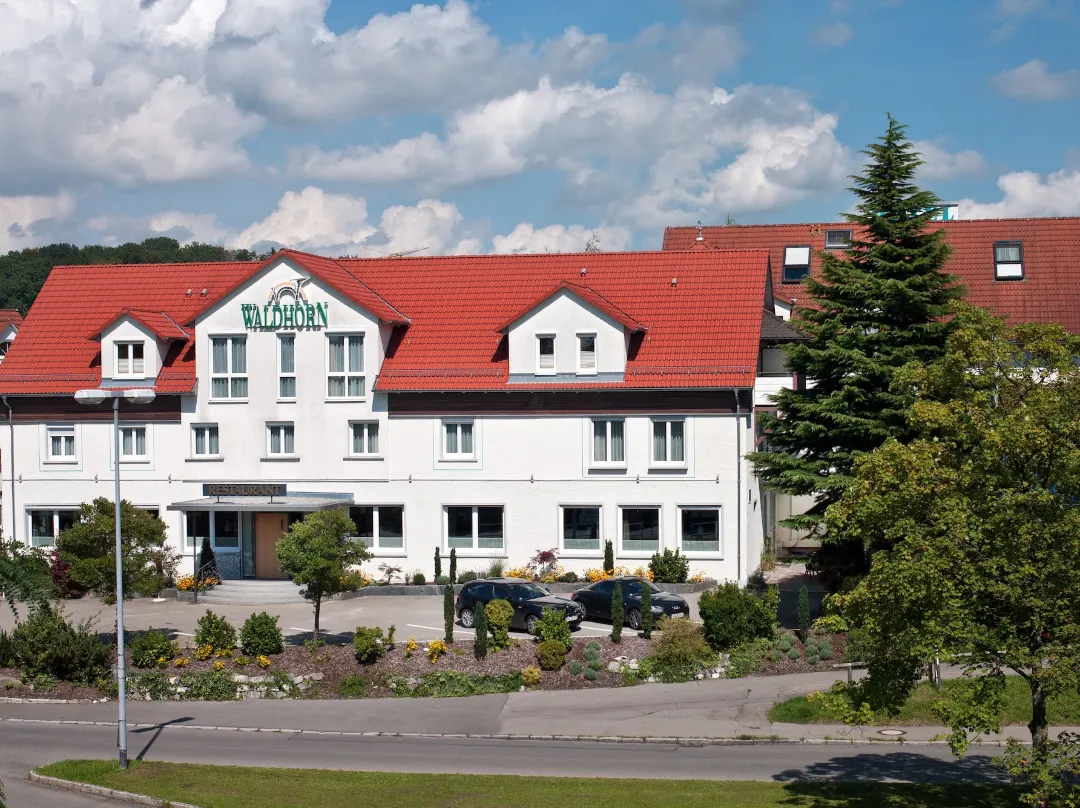 Hotel Waldhorn - Friedrichshafen