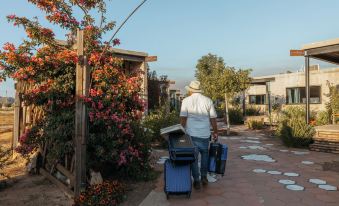 Hotel Los Amantes Valle de Guadalupe - Housity