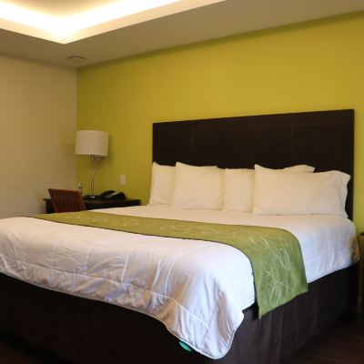 Standard Room Curtis Inn & Suites Promo Code