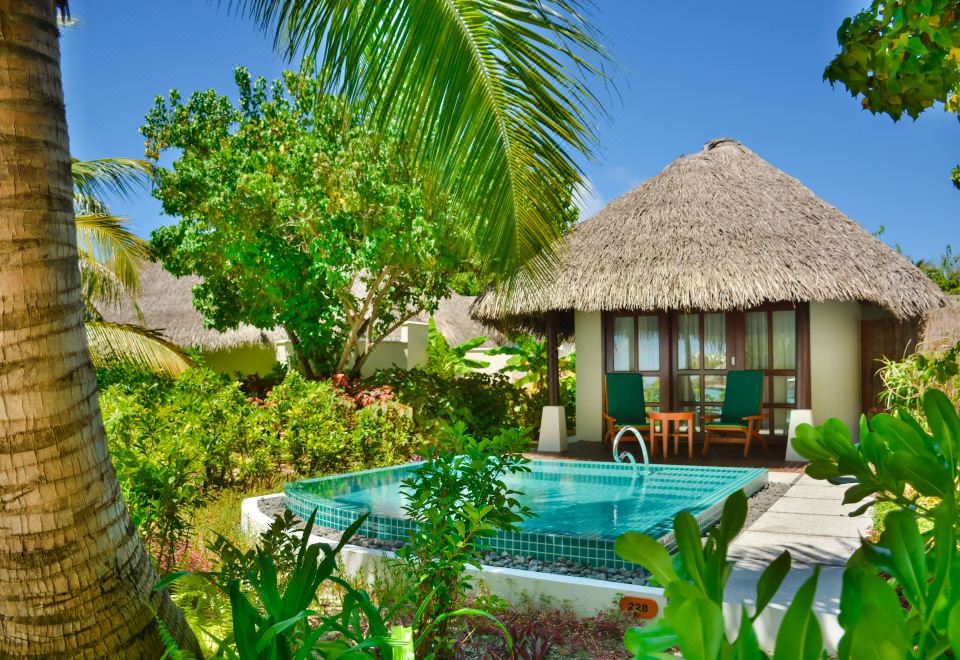 Sheraton Maldives Full Moon Resort & SpaCottage, 1 King, Island view, Plunge pool
