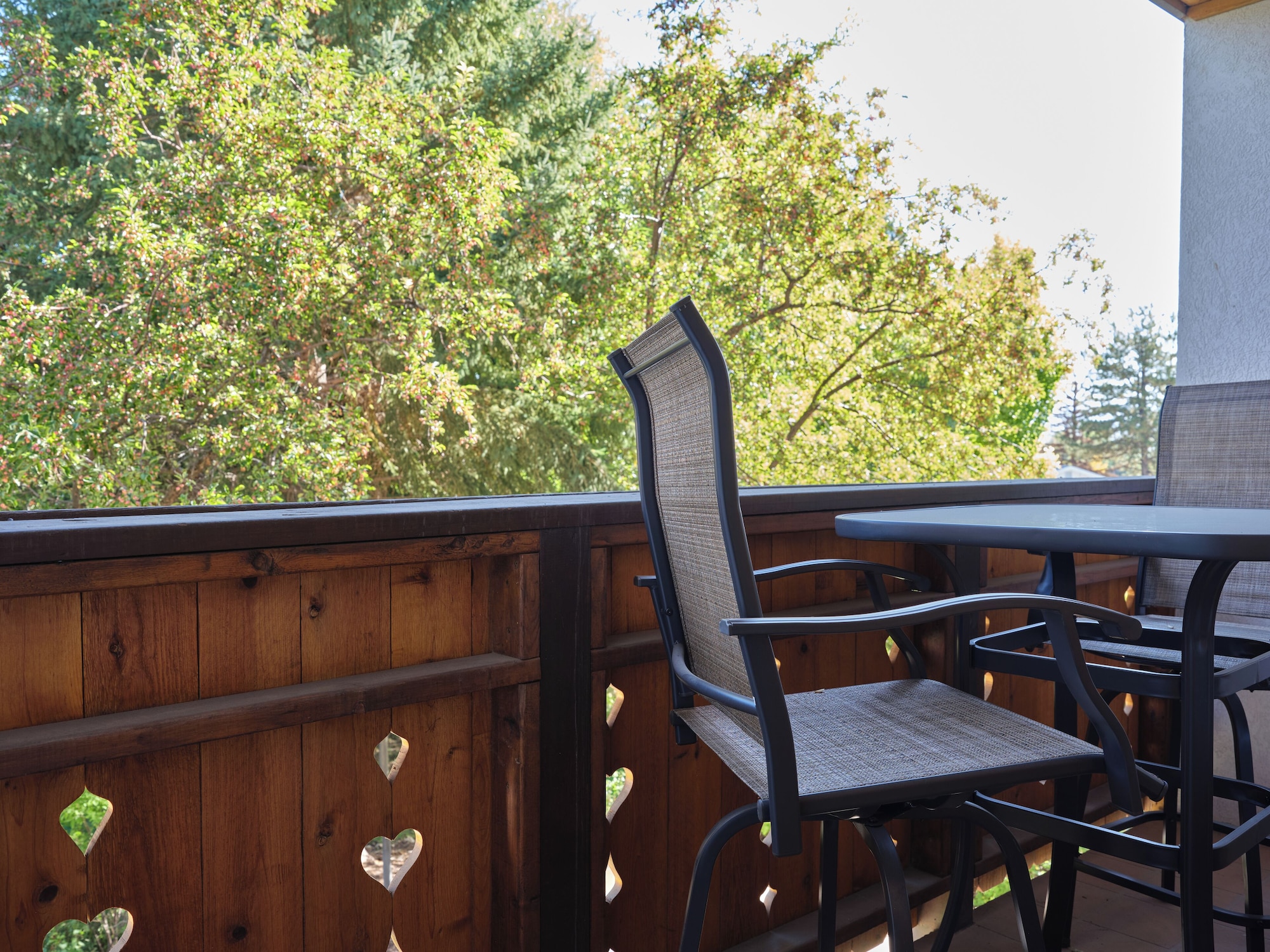 四卧室联排别墅，禁烟