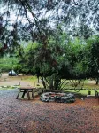 Refugio Silvestre Hotels in 