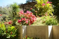 Vida Aventura Ranch