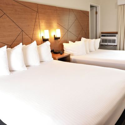 Basic Room, Kitchen RiverTree Inn Promo Code