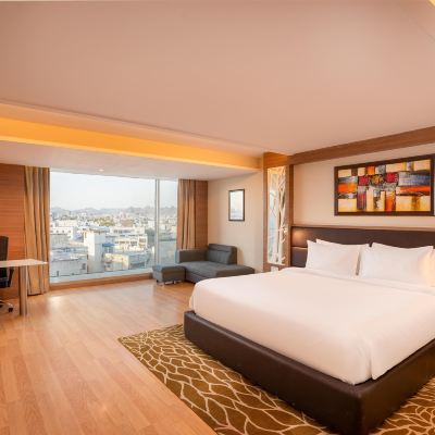 Business Class Room Radisson Udaipur Promo Code