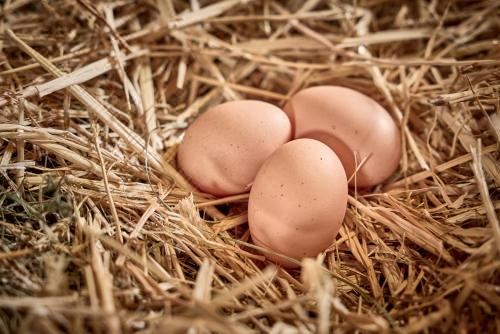 高级一卧室带阳台公寓