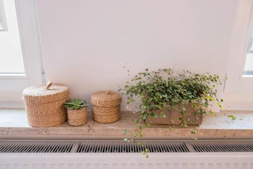 高级一卧室公寓