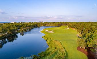 aerial view of a golf course surrounded by trees and water , with a blue sky in the background at WaterSound Inn