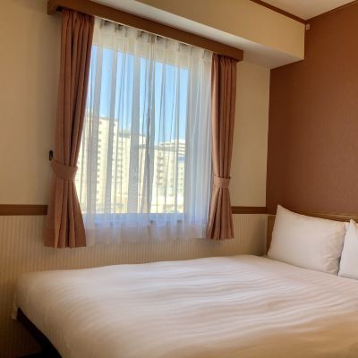 經濟雙人房 禁菸 東橫INN-北海道函館站前朝市優惠