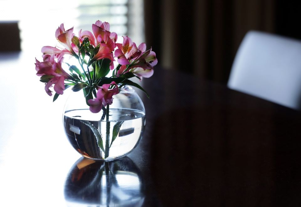 Park Hyatt Mendoza Hotel Casino and SpaTwin Room with City View