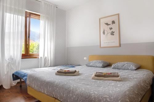 高级两卧室公寓