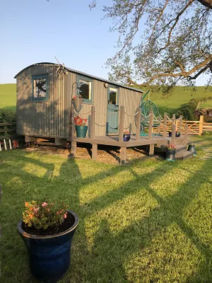 The Peacock Shepherds Hut at Hafoty Boeth