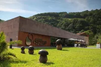 Balneario Elgorriaga Hotels in 