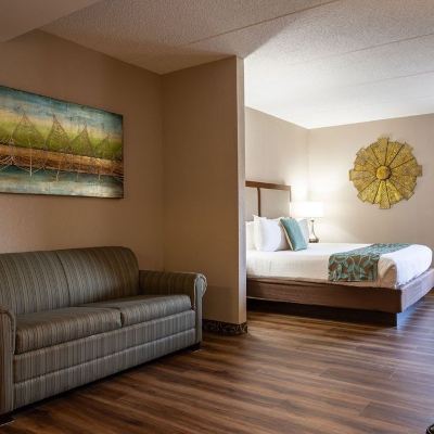 Studio Suite D. Hotel Suites & Spa Promo Code