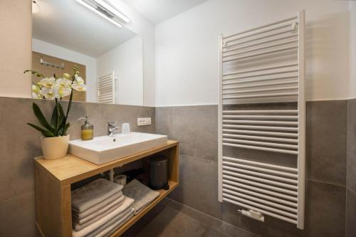 一室房（带阳台）