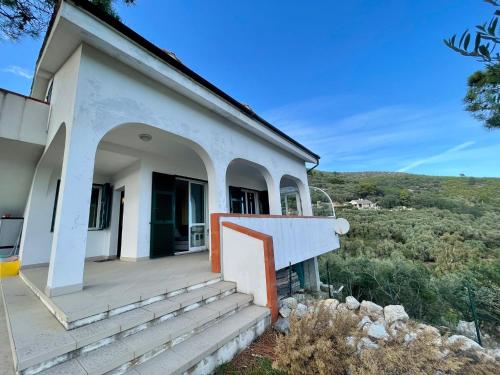 高级一卧室公寓